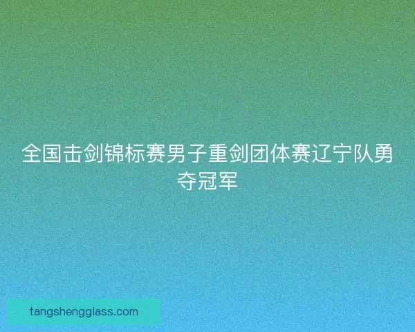 全国击剑锦标赛男子重剑团体赛辽宁队勇夺冠军