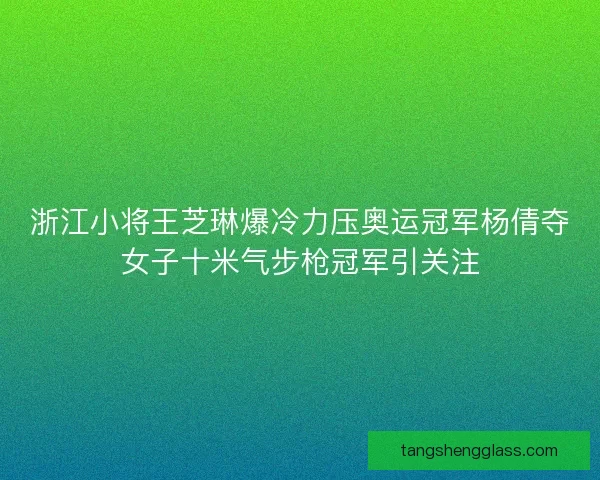 浙江小将王芝琳爆冷力压奥运冠军杨倩夺女子十米气步枪冠军引关注